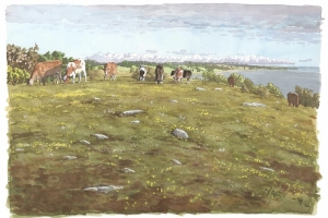 Reproducerad akvarell/giclée - Betande kor på strandängarna vid Äleklinta